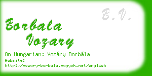 borbala vozary business card