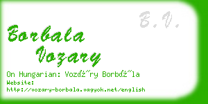 borbala vozary business card